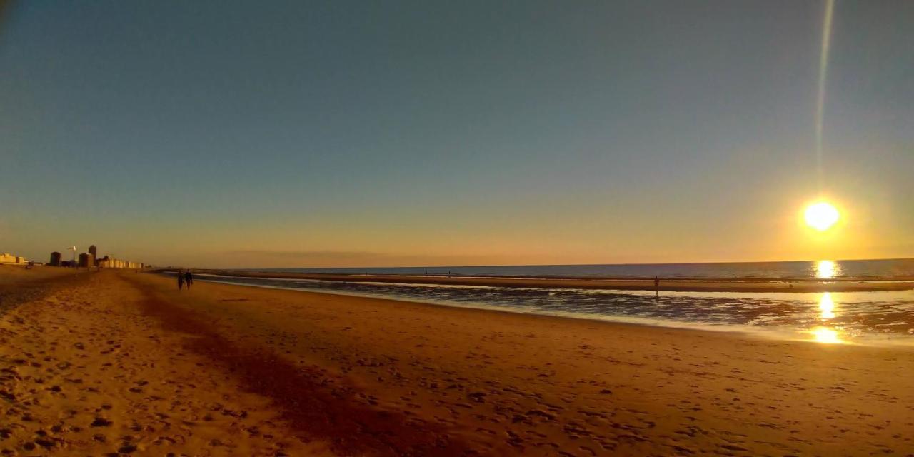 Belle De Nuit Homestay Ostend